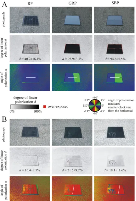 Fig 6. Photographs and patterns of the degree and angle of polarization of the three test surfaces (RP: Rose petal, GRP: Glass-covered rose petal, SBP: Smooth black plastic) laid on a dry asphalt road in the field experiments with mayflies measured with im