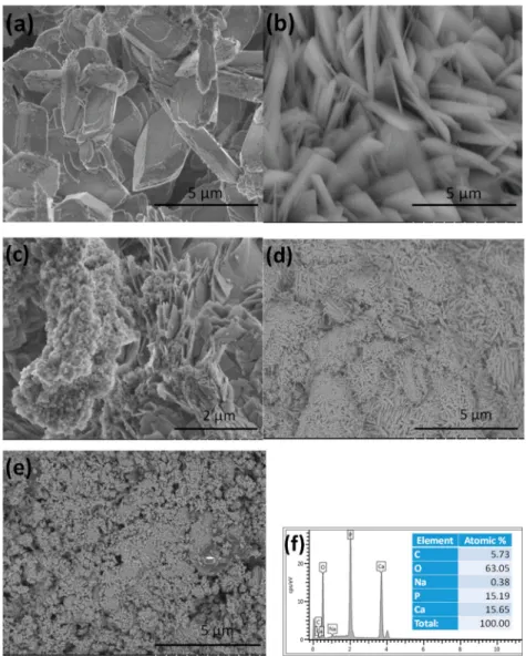 Figure 2. SEM images on CPC coatings prepared by different parameters. (a) t on : 5 ms, t o ff : 5 ms, i p : 0.4 A · cm − 2 , S1 sample