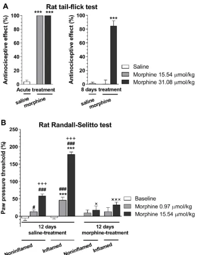 Figure 3. Analgesic effect of morphine in tolerant and non-tolerant rats in the rat tail-flick (A) and  Randall–Selitto test (B)