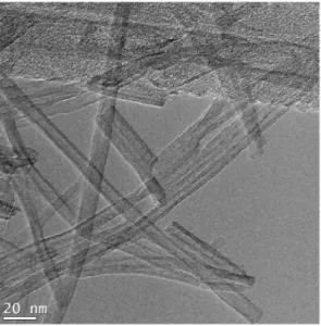 Figure 1. Transmission electron microscopy (TEM) micrograph of the as-prepared titanate nanotubes.