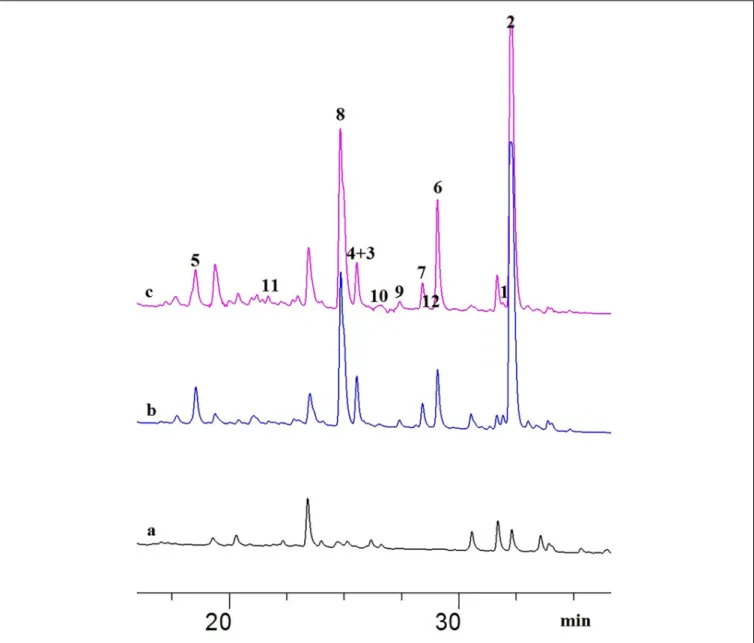 FIGURE 1 | HPLC chromatograms of the EtOAc extracts from OSMAC experiments detected at 235 nm: (A) A