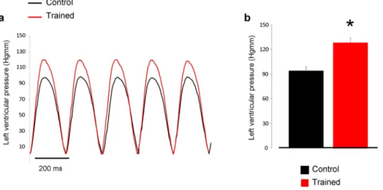 Figure 2.  Panel (a) demonstrates representative left ventricular developed pressure curves in control (black  trace) and in exercised rats (red trace) during Langendorff-perfused measurements