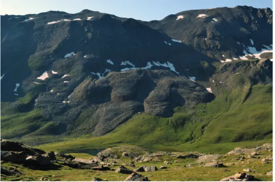 Fig. 5. Rock glacier with its typical lobate tongue (Lago Lungo, Ortles-Cevedale Group,  Central-eastern Italian Alps; photo by Duccio Tampucci)