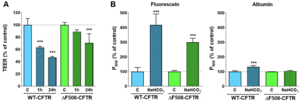 Figure 10. The effect of sodium bicarbonate on the barrier integrity of CFBE cells in co-culture.