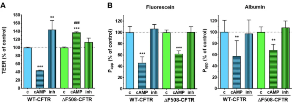 Figure 4. Effects of a cell-permeable cAMP analog (250 µM) and the CFTR channel inhibitor CFTR inh -172 (inh; 10 µM) treatment (1 h) on the electrical resistance (A) and permeability (B) values