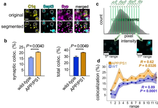 Fig. 5d). In other words, synapses with higher Sept3 content  are more likely to possess C1q than those with lower Sept3  levels