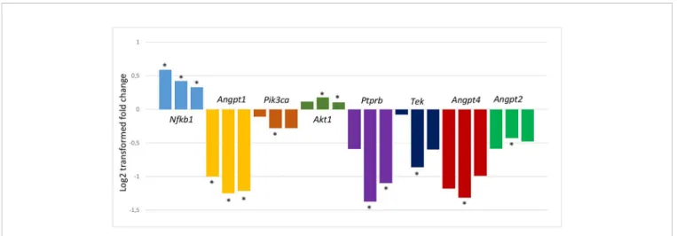 FIGURE 2 | LogFC values of the changes in gene expressions relative to controls. Only those genes are depicted whose expression showed at least one signiﬁcant change in their expressions during the process leading to Th2-type allergic airway in ﬂ ammation 