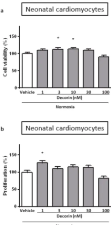 Figure 1. The effect of different concentrations of decorin on the (a) cell viability and (b) cell proliferation in Neonatal Rat Cardiac Myocytes (NRCMs) in normoxic conditions