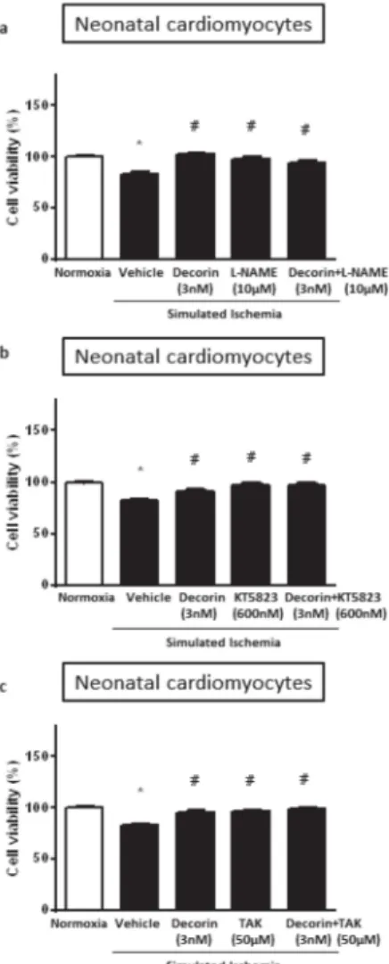 Figure 3. The effect of 3 nM decorin and following inhibitors alone or in combinations: (a) 10 µM L-NAME (NOS inhibitor); (b) 60 nM KT-5823 (PKG inhibitor); and (c) 50 µM TAK-242 (TLR-4 inhibitor);