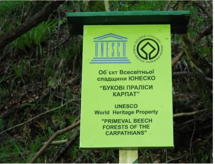 Figure 4. UNESCO World Heritage Property: Primeaval beech forests of the Carpathians.