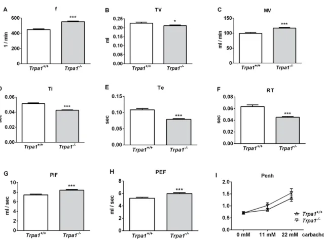 Figure 1. Comparison of the basal airway functions of intact Trpa1 +/+  and Trpa1 −/−  mice measured by  unrestrained whole-body plethysmography
