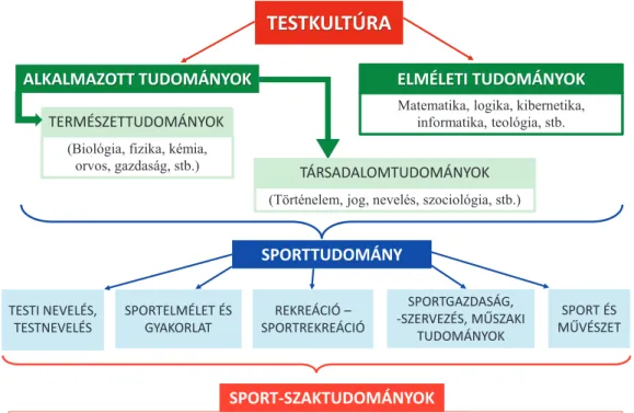 3. ábra A sporttudomány kapcsolatrendszere (Dubecz, 2009 nyomán Hamar Pál és Czirják György  szerkesztése)