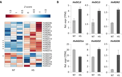 Figure 9. RNA-seq analysis of the data published by Pacak et al. [79]. (A) Heat map representation  of the expression pattern of silencing-related genes in heat-shocked (HS) and not treated (NT) barley 