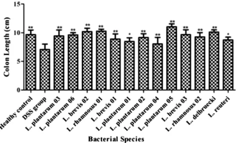 Table 3. The effect of Lactobacillus species on disease activity index (DAI) and colon length