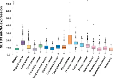 Figure 1.  TCGA analysis of SETD3 expression in different types of cancers. Frequency of SETD3 expression  in different types of solid tumors