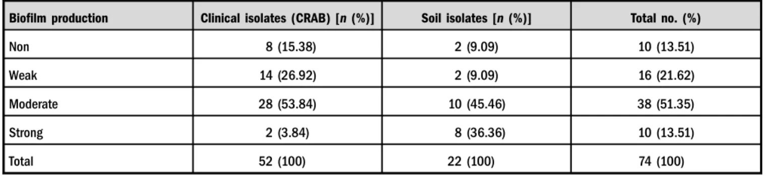 Table III. Characterization of bio ﬁ lm status in clinical and soil isolates of A. baumannii