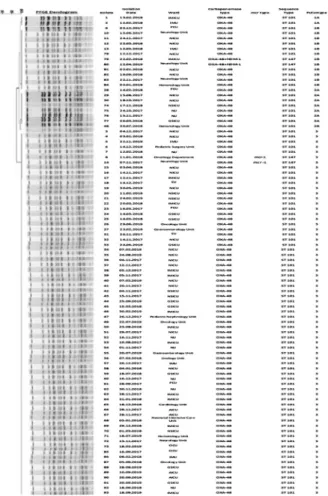 Fig. 1. Dendrogram based on pulsed-ﬁeld gel electrophoresis pattern analysis (PFGE) of 93 colistin and carbapenem resistant