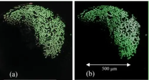 Fig. 9 Microscope images of one end of the illuminated fiber bundle before- (a) and after  fiber-matrix debonding (b) 
