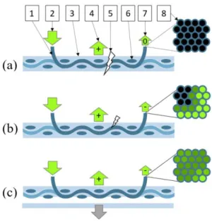 Fig. 10 The transmission of light stops as a result of the breakage of the illuminated fiber  bundle (a), transmitted light power is decreased when the fiber bundle partially breaks  (b)  transmitted light power is decreased when the matrix is torn off (c)