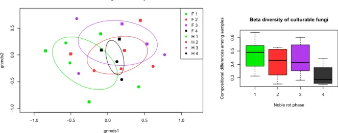 Figure 5. Community composition and turnover of the culturable fungal community isolated from  grape berries representing the four noble rot phases discussed in the text