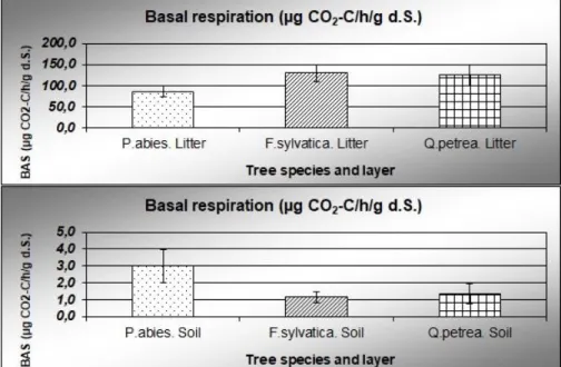 Figure 1. Basal respiration (with standard deviation) in the litter and the 0–10 cm mineral  soil layers in the spruce (P