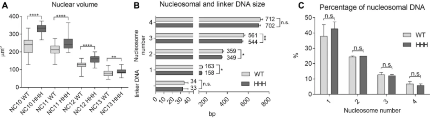 Figure 3. Wild type and HHH mutant embryos differ greatly in nuclear volume but only slightly in nucleosomal DNA length