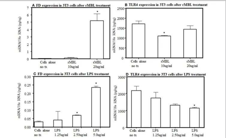 FIGURE 12 | Effect of human rMBL or human rTLR4 on FD expression on differentiated 3T3-L1 cells at 48 h