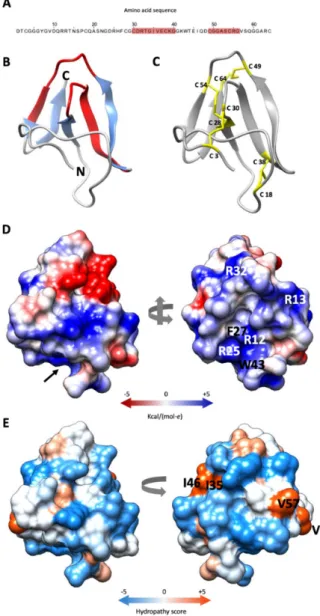 Figure 1. Predicted structure of PAFC. (A) Amino acid sequence (aa) of PAFC with the two predicted  γ-core motifs highlighted in red