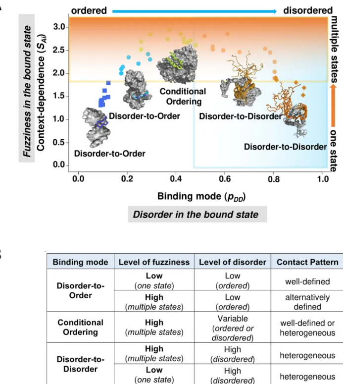 Fig 5. A binding mode landscape for disordered protein interactions. Residues are characterised by their binding modes to increase or decrease order upon interactions and the context-dependence of such binding modes