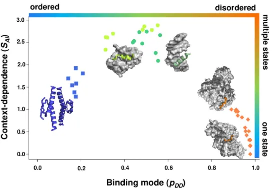 Fig 6. Binding mode landscape for p53 interactions. The oligomerisation domain (residues 325–356, blue squares) exhibits a strong preference for disorder-to-order transitions and forms stable tetramers (PDB:1c26) [36] and  higher-order structures