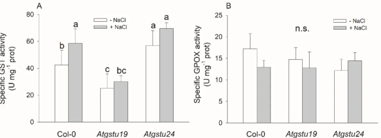 Figure 1. Main glutathione transferase activities of two-week-old wild-type (Col-0) and GSTU mutant  (Atgstu19 and Atgstu24)  Arabidopsis plants treated with 150 mM NaCl for 48 h
