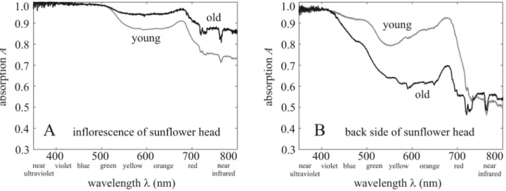Figure 5.  Light energy absorbed by a sunflower head versus its azimuth direction. Total energy e per unit area  absorbed by the inflorescence (A) and the back (B) of a mature sunflower head between anthesis (1 July) and  senescence (7 September) as a func