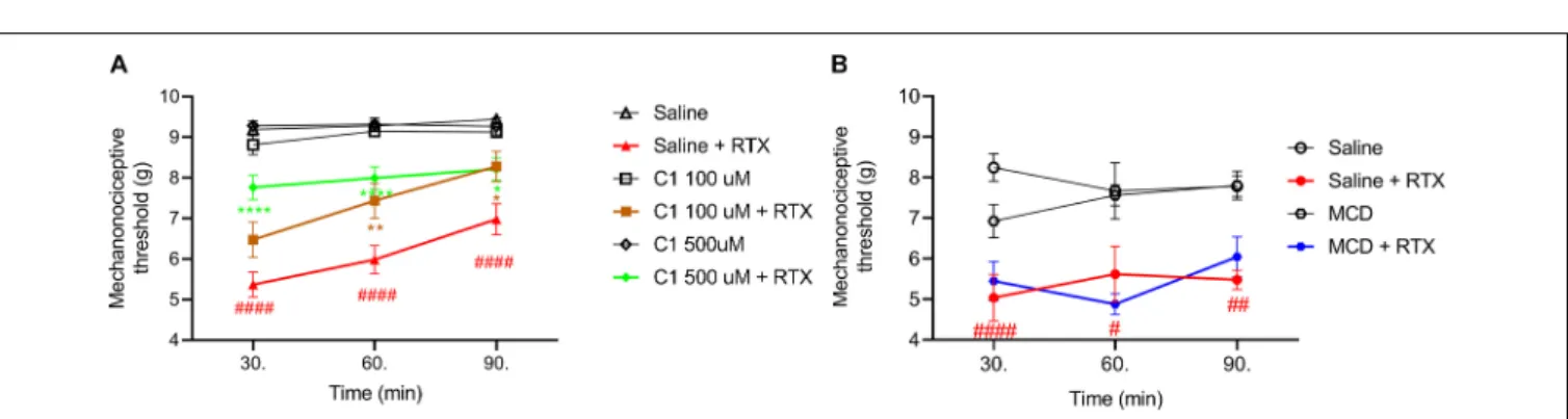 FIGURE 3 | Effect of 100 µ M or 500 µ M (A) and 15 mM MCD (B) on the RTX-induced mechanical hyperalgesia