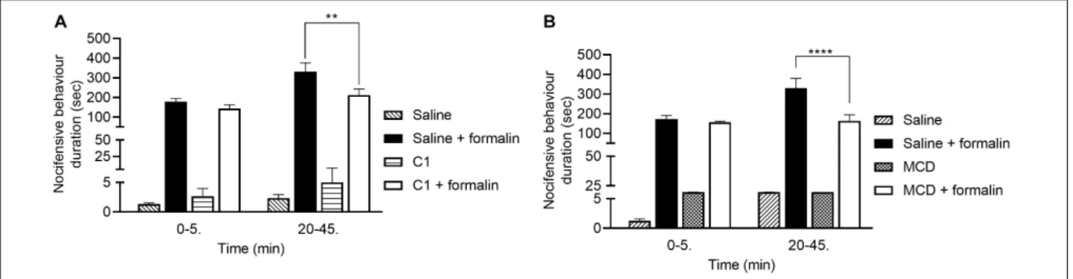 FIGURE 4 | Effect of 100 µ M C1 (B) and 15 mM MCD (A) in the formalin-evoked acute nocifensive behaviors