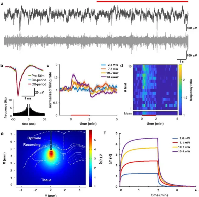 Figure 5. Infrared  excitation of  hippocampal neurons. (a) Local field potential (top) and unit  activity (bottom) recorded from the multimodal probe before and during (red line) heating