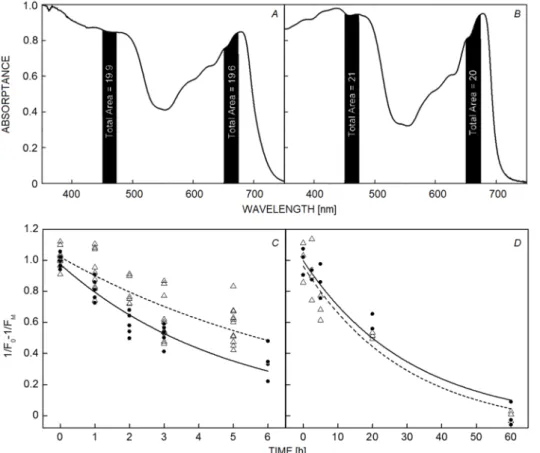 Fig. 1. Time course of PSII photodamage estimated as the relative fraction of functional PSII (1/F O  – 1/F M )