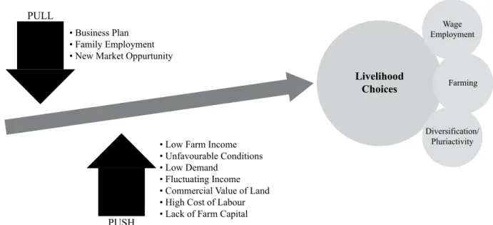 Figure 2: Determinants of Livelihood Choices.