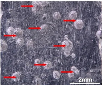 Figure 1. Optical image of tin pest warts on the surface  of tin object. 