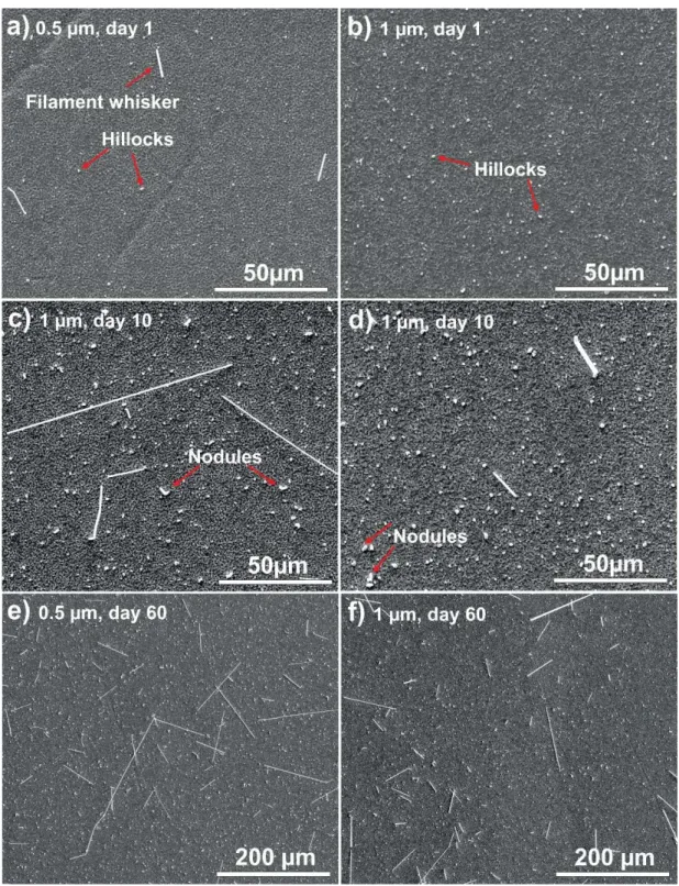 Fig. 2. Whiskers on the samples: a) filament-type whiskers on 0.5 μm thick Sn layer after  one day; b) numerous hillocks on 1 μm thick Sn layer after one day; c) all types of  whiskers on 0.5 μm thick Sn layer after ten days; d) all types of whiskers on 1 