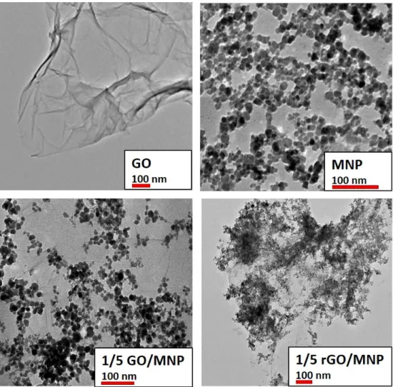 Figure 3. TEM images of the individual nanoparticles and the 1/5 GO/MNP nanocomposites before  and after reduction with LAA