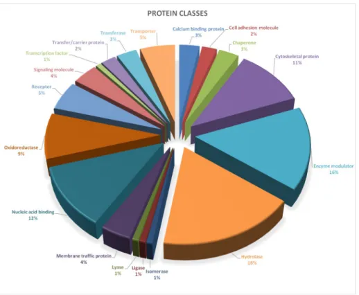 Fig 2. Protein classes identified by mass spectrometry. Proteins identified by Mass Spectrometry were examined using Panther (Protein Analysis through Evolutionary Relationship, Version 13.1)