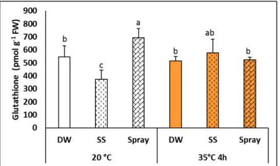 Fig 5. Total glutathione level in plants grown from seeds soaked in distilled water (DW) or NaSA seed-soaked (SS) or sprayed with 0.5 mM NaSA, and before (20˚C) and after 4 h heat treatment at 35˚C