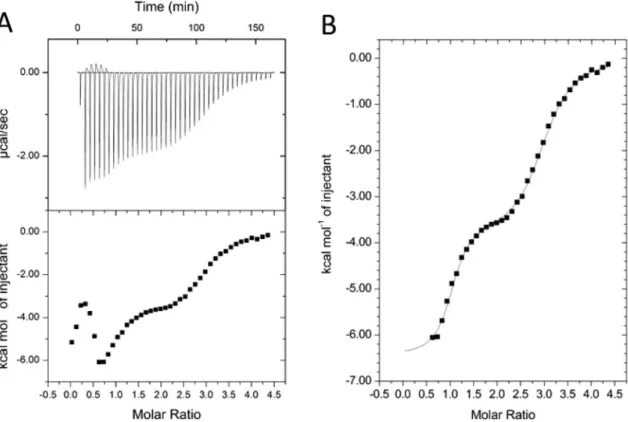 Table 1.   Thermodynamic parameters for the best fit of ITC binding curve by the “Sequential Binding Sites” 