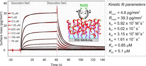 Figure 7.  Measured kinetic data of Ni(II) binding obtained at low FliC-NikR C  coverage on a PCP-LIP  WAVEchip (red curves)