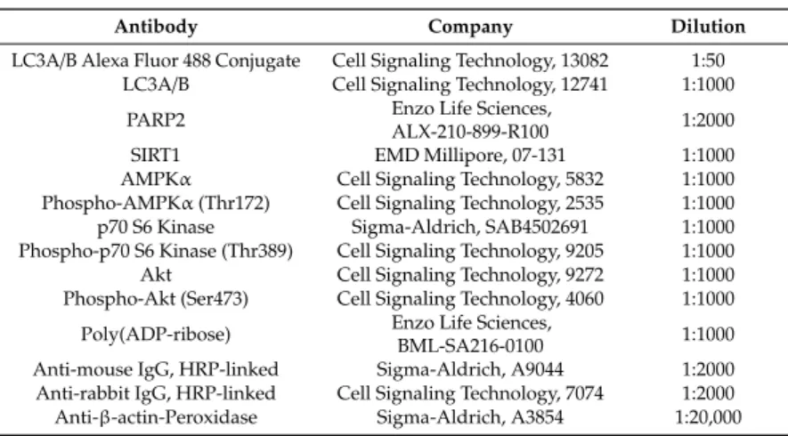 Table 2. Antibodies used in the study.