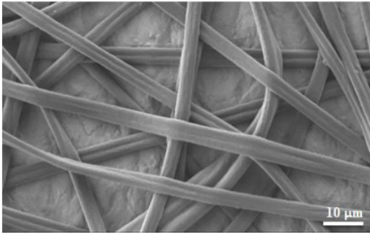 Figure 1. SEM image of electrospun fiber mat made from AIBA/PEG 80/20 in 95/5 THF/toluene