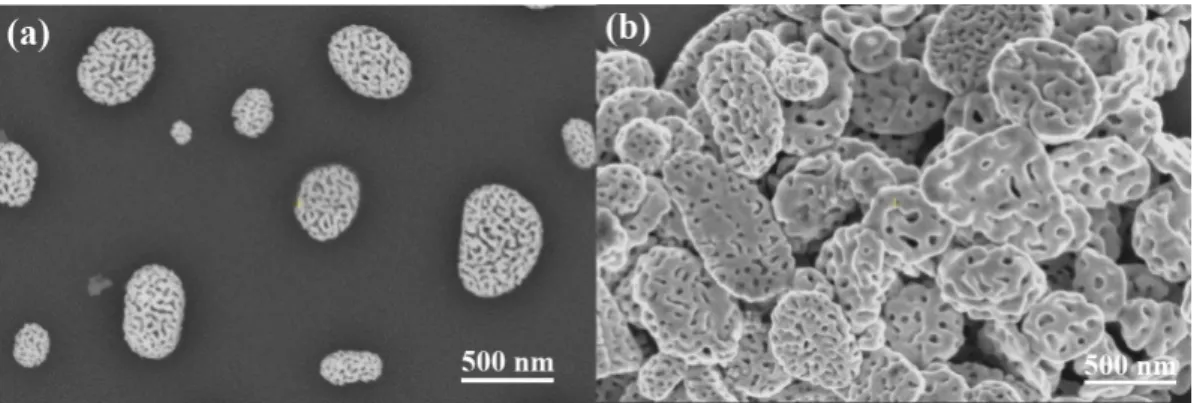 Figure 1 shows representative SEM images of supported PGNs and support-free PGNs chemically detached from the substrate.