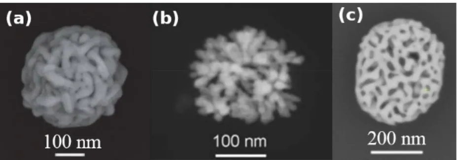 Figure 5. SEM images of colloidal PGNs prepared by using fundamentally different methods: