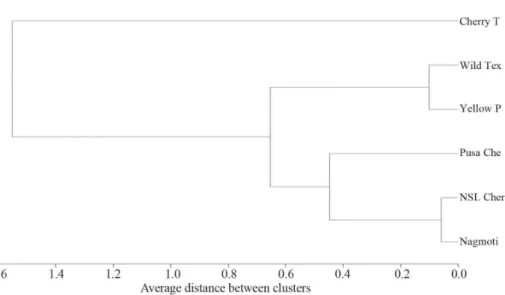 Fig. 3. Hierarchical cluster analysis of diﬀ erent cultivars based on evaluated quality attributes