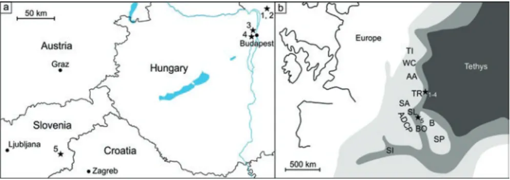 Fig. 4.2  Present-day locations (a) and possible paleogeographic positions (b) of the investigated  successions within the broader region of the western Tethys